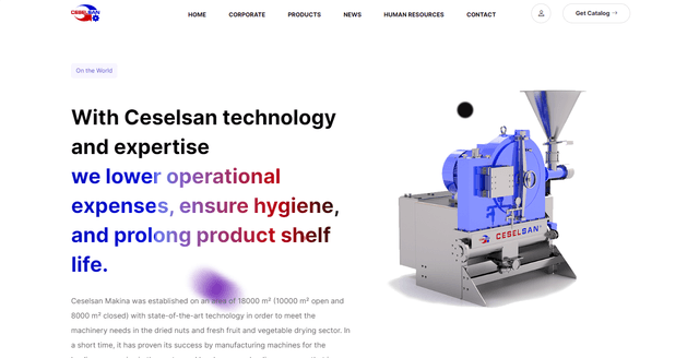 Ceselsan website image