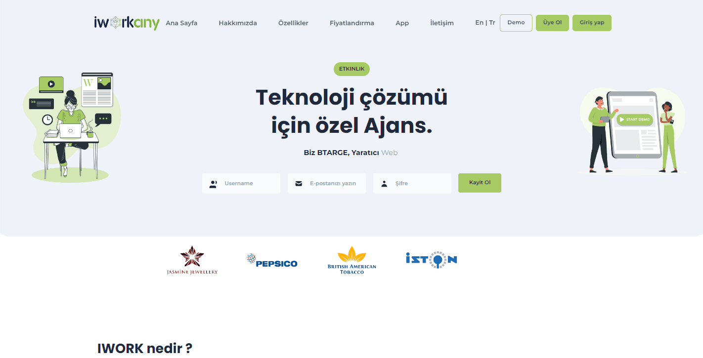 Iworkany website image