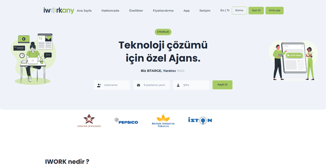 Iworkany website image